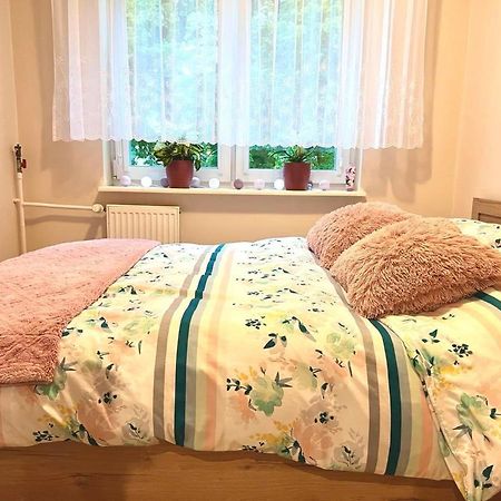 Apartament Pod Lipami Appartement Giżycko Buitenkant foto